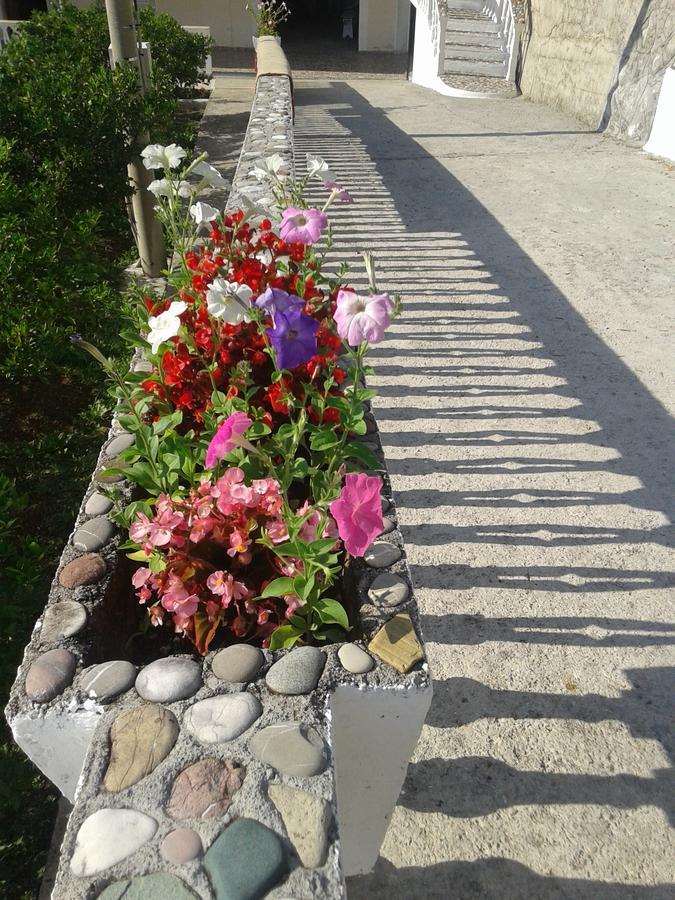 Beautiful View Apartment Котор Екстериор снимка